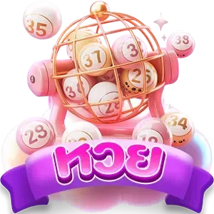 bunny555 หวย
